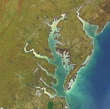 Chesapeake Bay satellite image. Photo by University of Maryland Center for Environmental Science
