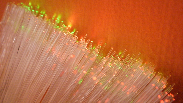 Fiber optic cables (By roshan 1286 on Flickr)