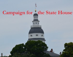 Campaign for the State House larger type