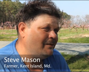 Rising Seas video: Strawberry fields not forever; dream farm at risk