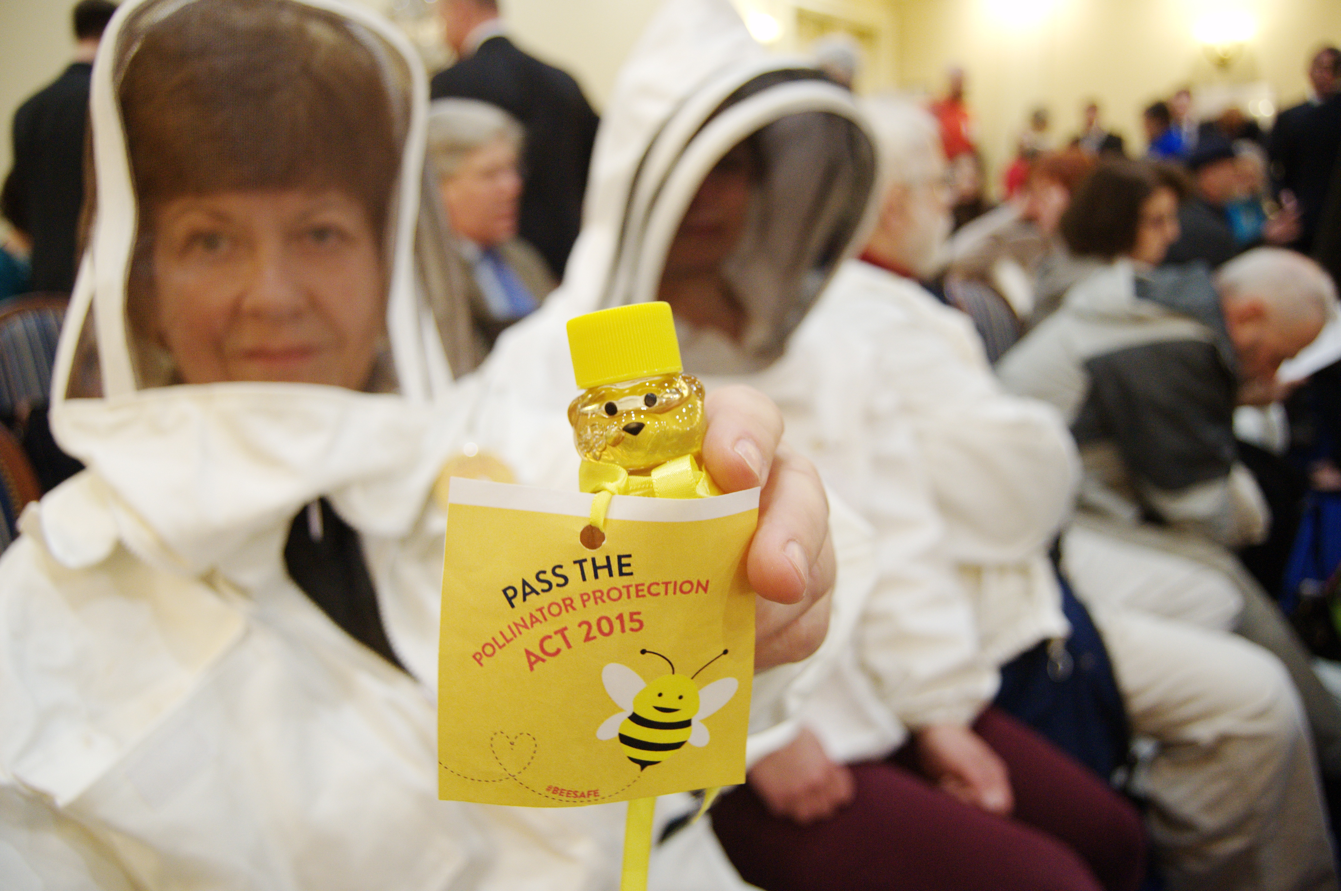 Beekeepers hope legislators will act on pesticide to protect hives