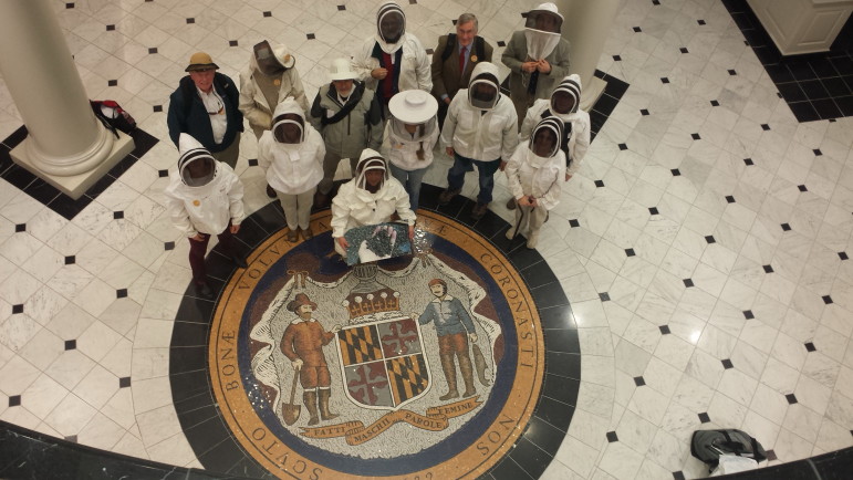 Beekeepers gathered on the Maryland seal on the ground floor of the Miller Senate Office Building last year. Photo by Rebecca Lessner for MarylandReporter.com