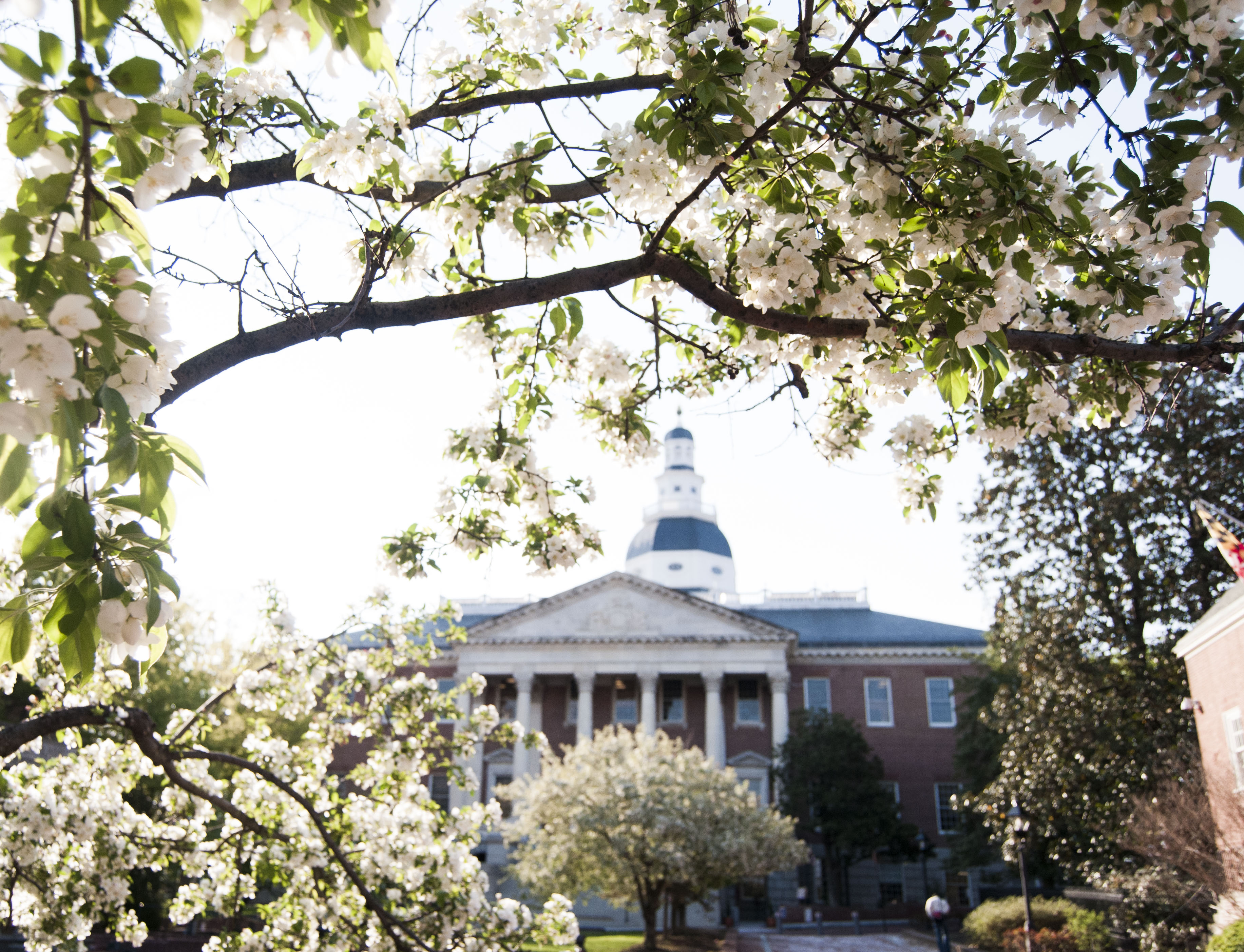 Health care interests spent the most lobbying Annapolis