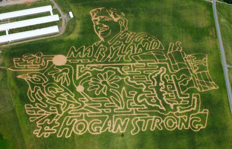 Hogan Strong Corn Maze