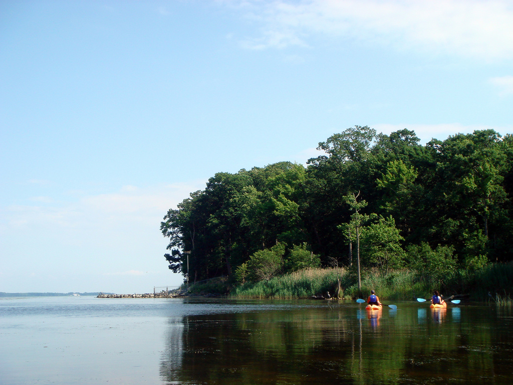 Tom Horton: Paddling around Delmarva gives ample time to think