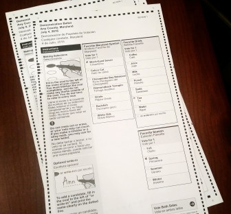 paper ballots