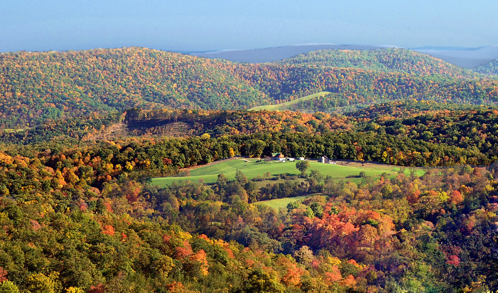 Saving Md. forests again on State House environmental agenda