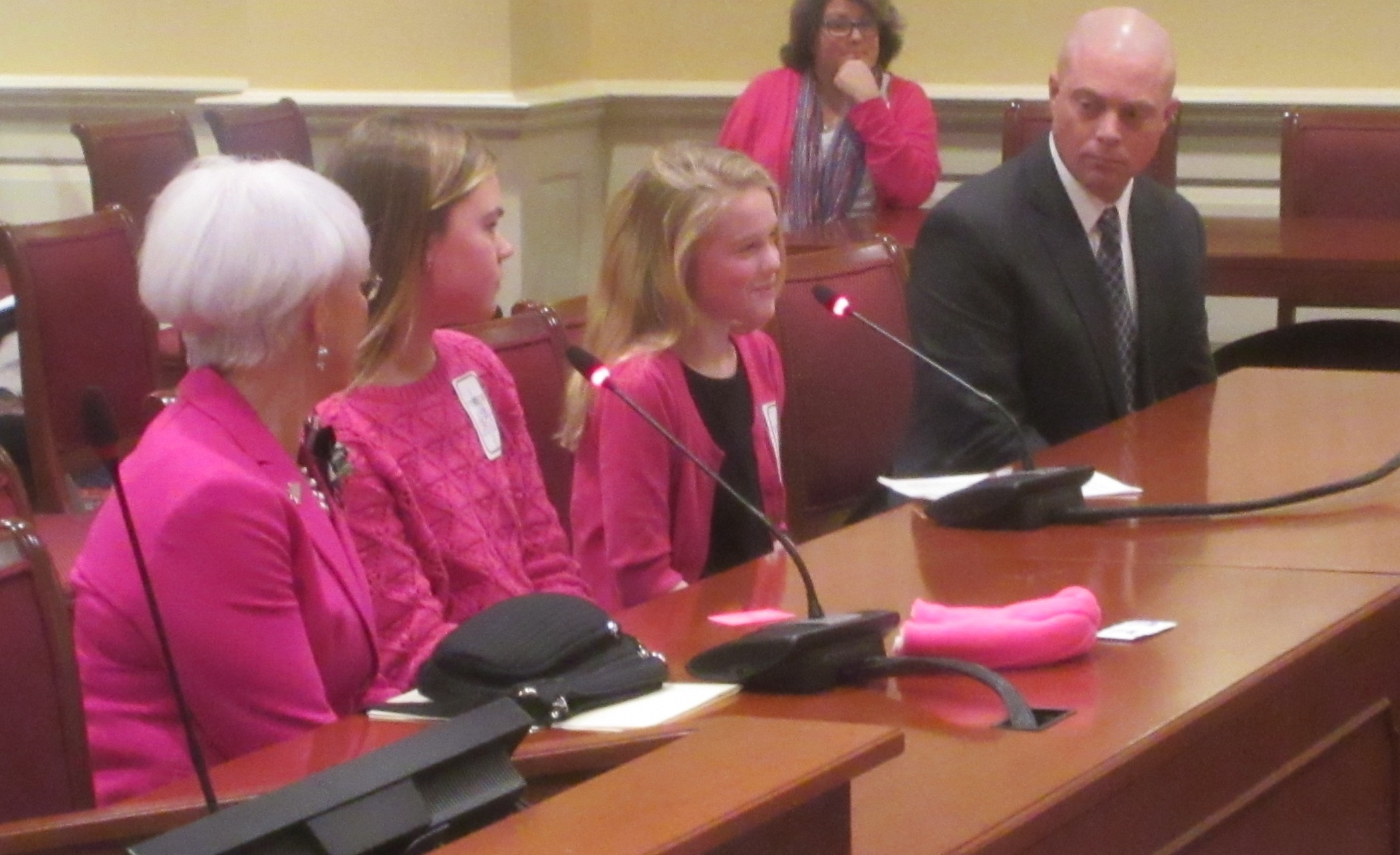Pretty in pink hunters approved, Senate approves tax relief
