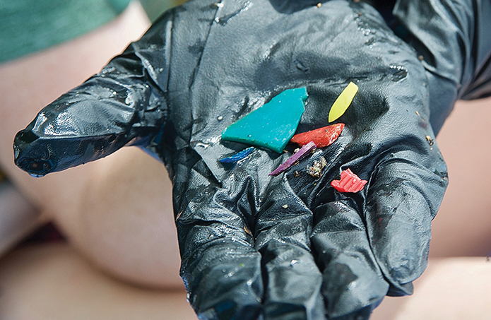 Microplastics are everywhere, but how do they harm the Bay?