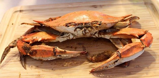 Chesapeake crab industry remains crippled by visa shortage, coronavirus