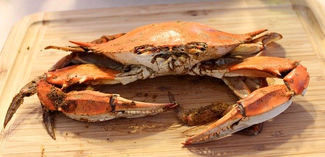Chesapeake crab industry remains crippled by visa shortage, coronavirus