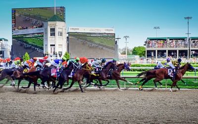 Betting on the Kentucky Derby Race: Essential Things To Know