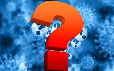 Questions for Authority during a pandemic