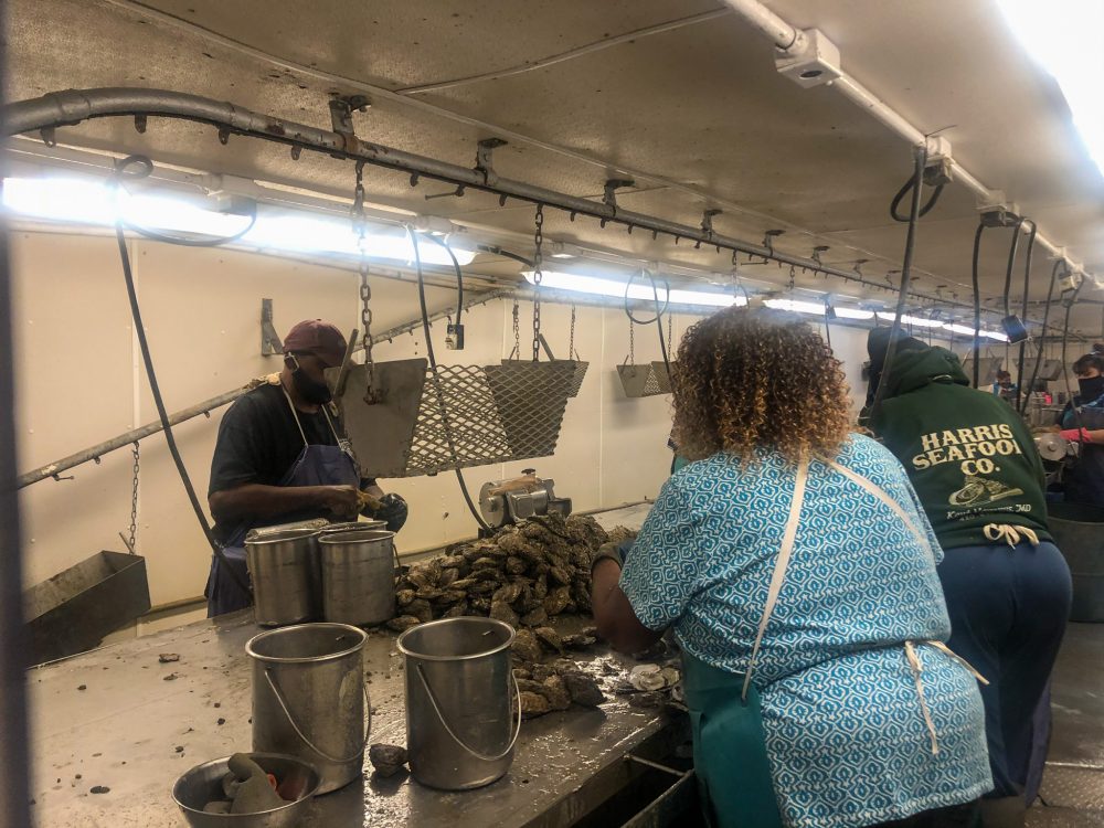 COVID pandemic leaves fishing industry casting for customers - Vimarsana News