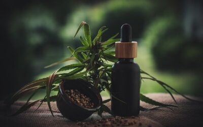 7 Benefits And Uses Of CBD Oil