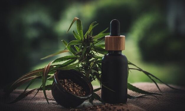 Best CBD Oil without THC for 2021