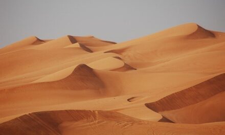 Why should you try the desert safari in your next trip to Dubai?