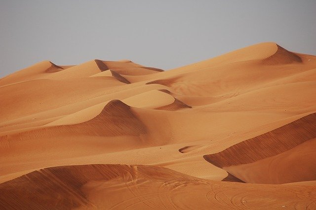 Why should you try the desert safari in your next trip to Dubai?