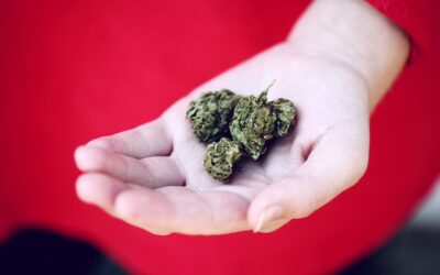 3 Ways Increased Uptake of Medical Marijuana is Impacting the US