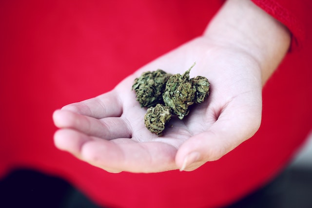 3 Ways Increased Uptake of Medical Marijuana is Impacting the US