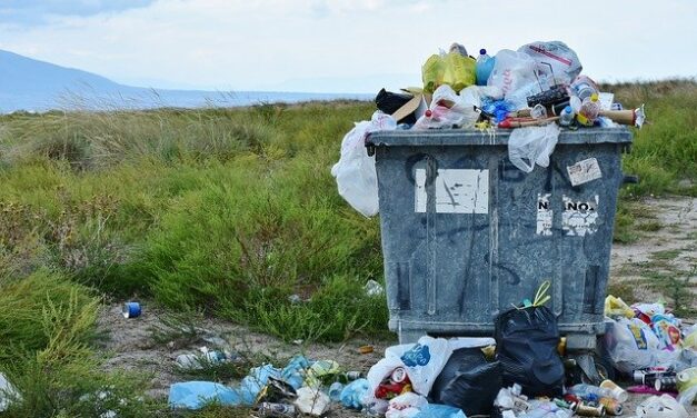 Maryland may ban plastic carryout bags at retail shops