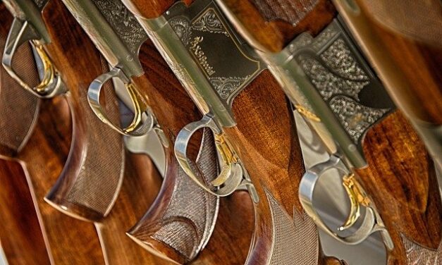 Long gun restrictions among four Md. Senate veto overrides