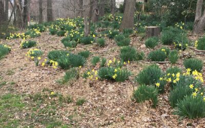 State Roundup: Maryland jobless rate dips to 6.2% as 3,200 jobs added in February; Hogan Covid adviser under fire