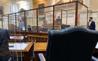 Legislature plans special session on redistricting, vetoes