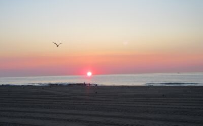 State Roundup: Maryland Senate votes to end life without parole for juveniles, agrees to scrap Confederate statete song