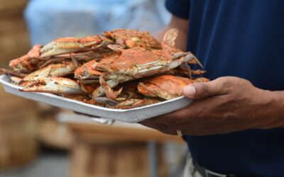 State Roundup: Limits eased on crab harvests; Morgan accuses Towson U. of copying business program; environmental group gives governor mixed reviews