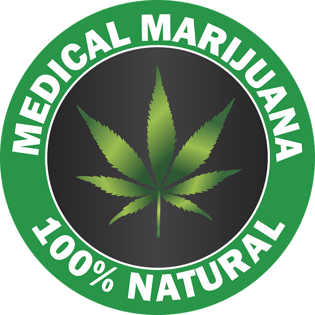 How to Qualify for Medical Cannabis in Maryland