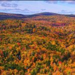State Roundup: Judge gives unaffiliated voters a partial win; Trump freezes Army Corps projects in Maryland, other states; fight over Lottery contract heads to court