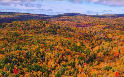 State Roundup: Judge gives unaffiliated voters a partial win; Trump freezes Army Corps projects in Maryland, other states; fight over Lottery contract heads to court