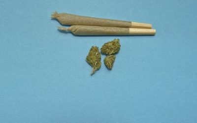 State should collect more data on cannabis, experts say