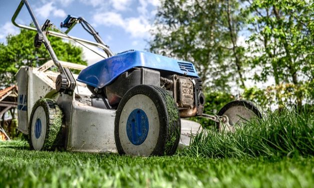Electrify your lawn care to help save the Chesapeake Bay