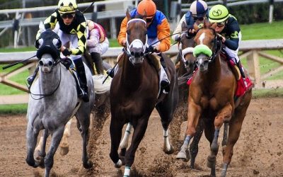 Learn How Handicapping Works in A Horse Race And Be A Successful Bettor