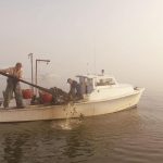 Great news on an oyster recovery in the Chesapeake can be repeated going forward