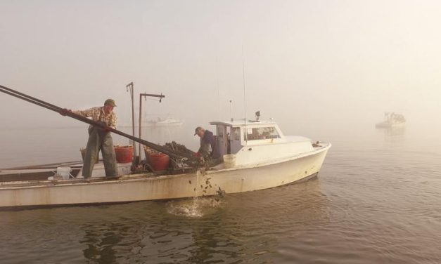 Great news on an oyster recovery in the Chesapeake can be repeated going forward