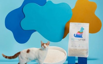 PrettyLitter Reviews: Does This Silica Litter Really Work? Read Consumer Reports