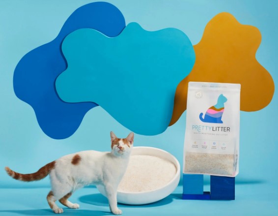 PrettyLitter Reviews: Does This Silica Litter Really Work? Read Consumer Reports