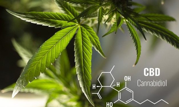 Cannabis and Health: The Benefits You Should be Aware Of