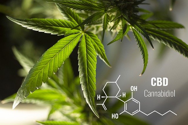 Cannabis and Health: The Benefits You Should be Aware Of