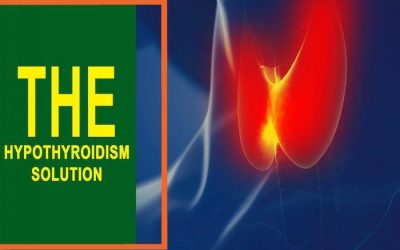 The Hypothyroidism Solution Book Reviews by Jodi Knapp