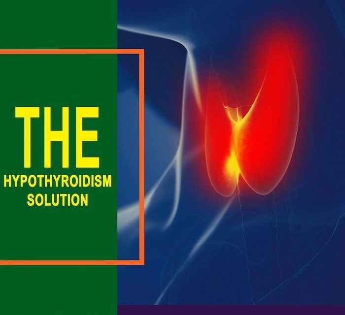 The Hypothyroidism Solution Book Reviews by Jodi Knapp -  MarylandReporter.com