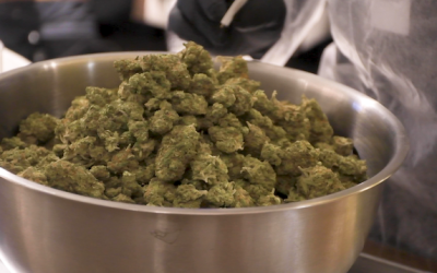 What Qualifies You for Medical Access in Illinois?