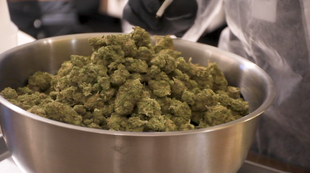 Senate considering how to make legal cannabis profitable