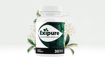 Exipure Reviews – Ingredients Really Work Or Side Effects? (Exposed)