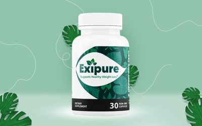Exipure Reviews: Real User Experience And Results Revealed!