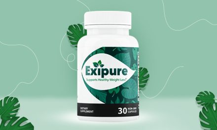 Exipure Reviews: Real User Experience And Results Revealed!