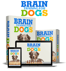 Brain Training for Dogs Reviews – ALERT! Don’t Buy Until You Read This Exclusive Report!